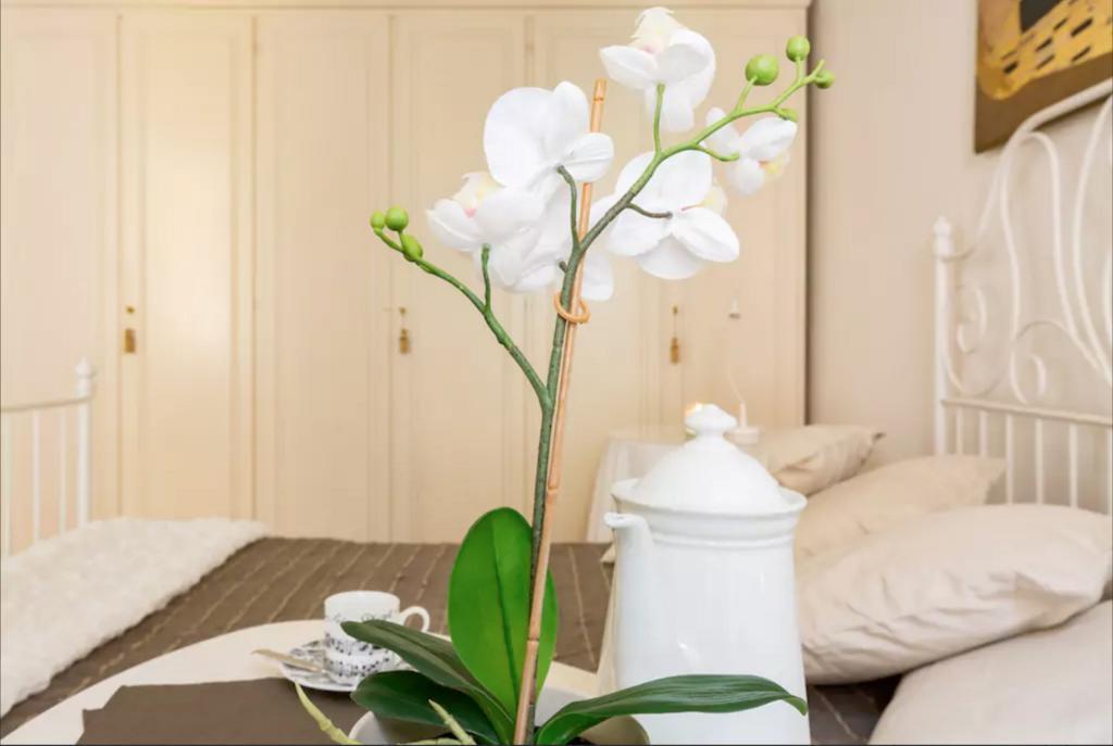 Via Laurina 40 Apartment Рим Екстер'єр фото